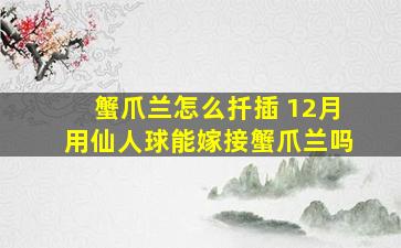 蟹爪兰怎么扦插 12月用仙人球能嫁接蟹爪兰吗